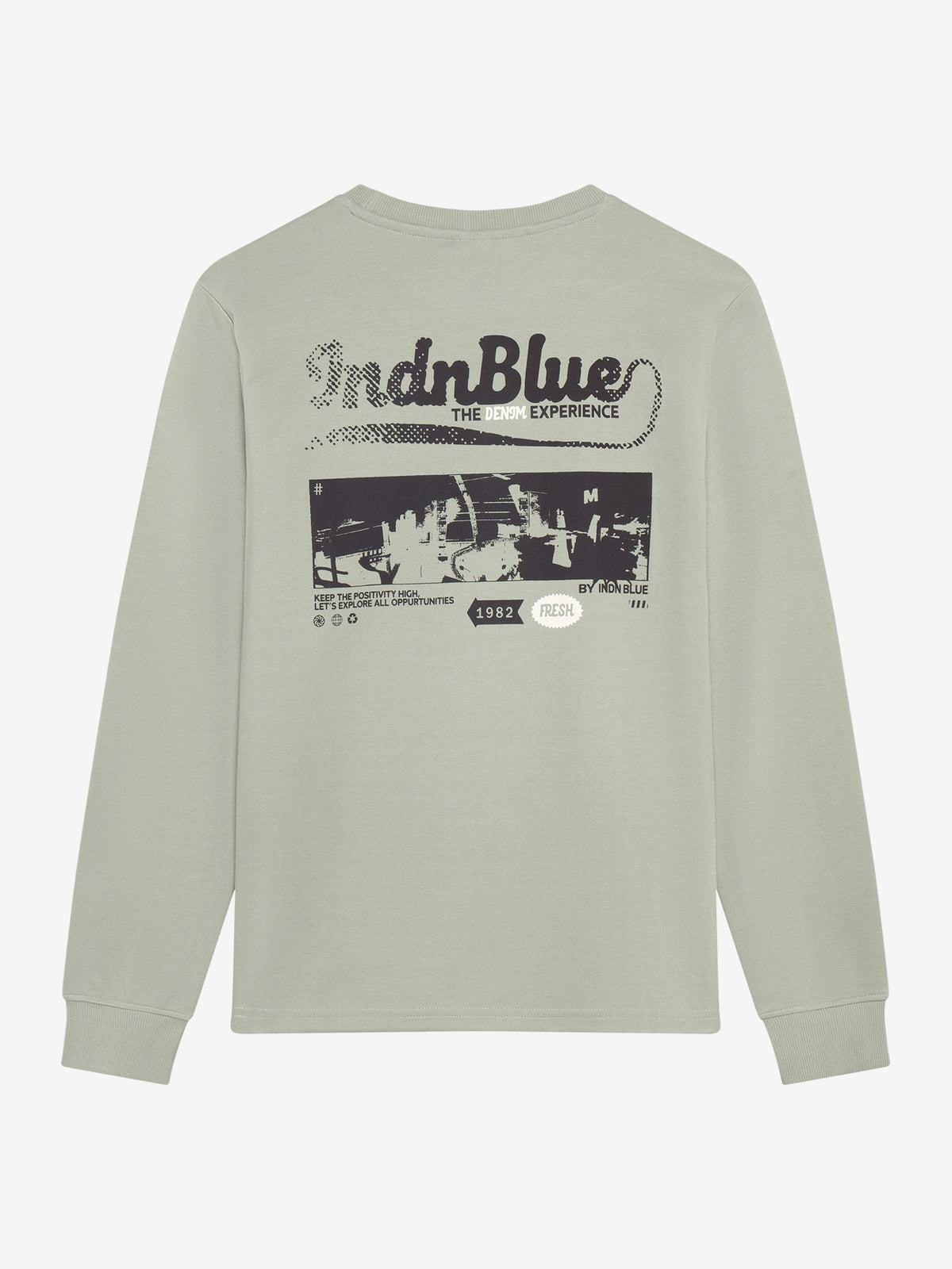 INDIAN BLUE JEANS Boys T-Shirt LS AW Sleeve Dust Green